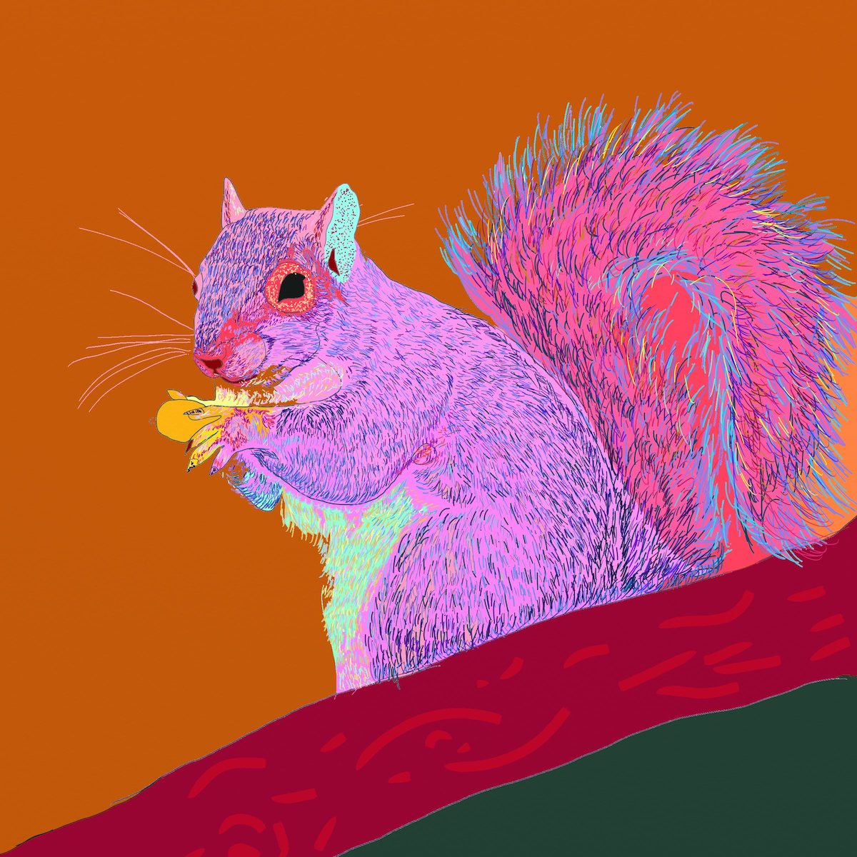 An artwork of a squirrel by Sonny Bean