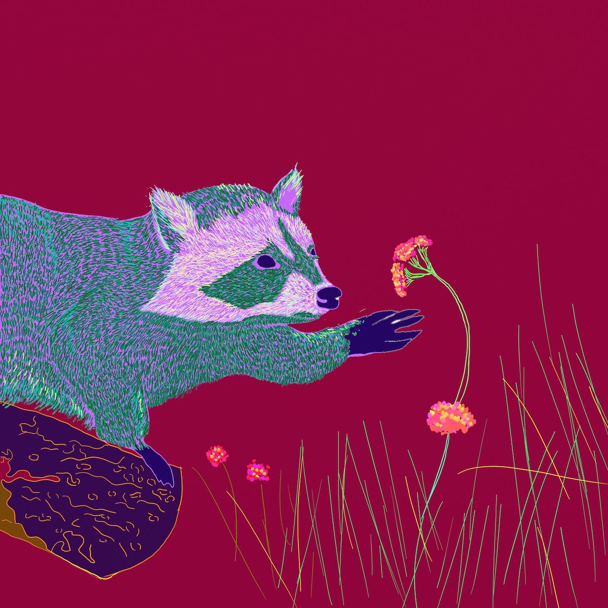 An artwork of a racoon by Sonny Bean
