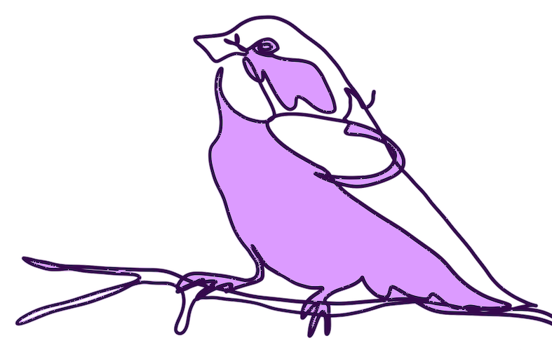 Line drawing of a bird by Devon Kerslake, with colour overlay